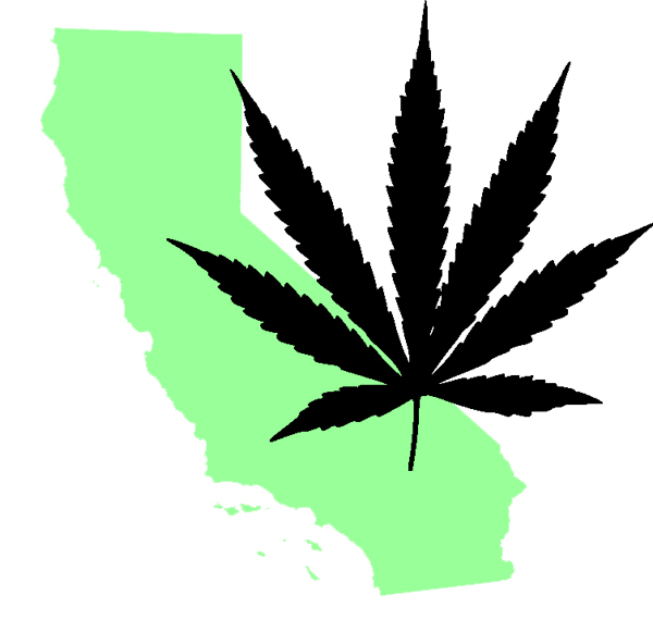 California Marijuana Leaf Icon